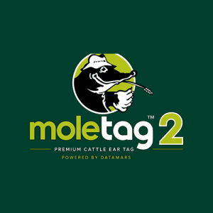 Alternative view of Moletag 2 Large Primary Cattle Tag