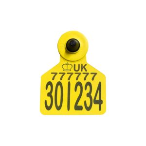 Z Tags Replacement Large Z2 Secondary EID HDX Tag