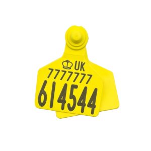 Z Tags Z2 Large Primary Cattle Tag