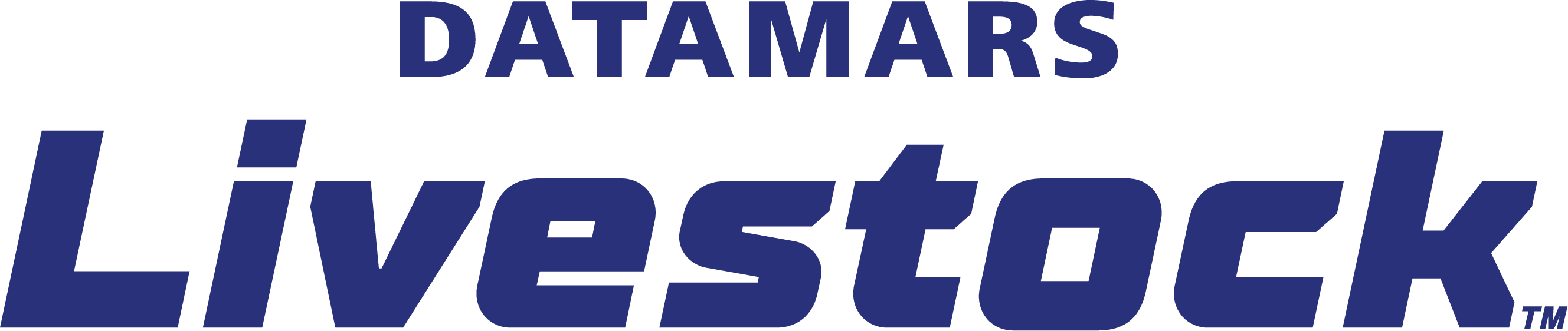 Datamars Logo