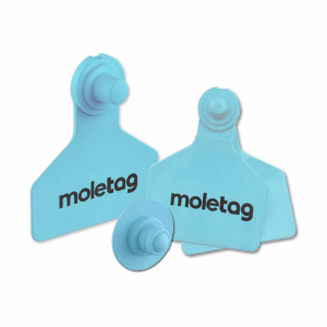 Moletag 2 Management Tag