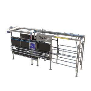 Dairy Drafter -  POA