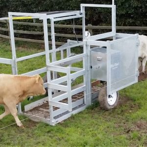 Alternative view of Flexi Mobile 4000C - POA